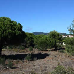 Le paysage, derrière Ti Gracinda et Ti Sãozita