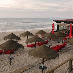 Le bar de la plage, avec ses parasols en paille.