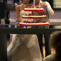 Le gâteau de mariage.