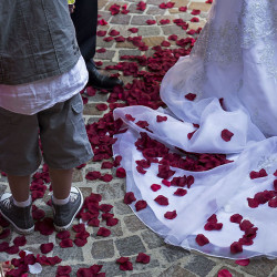 Les pétales de rose sur la robe de la mariée.
