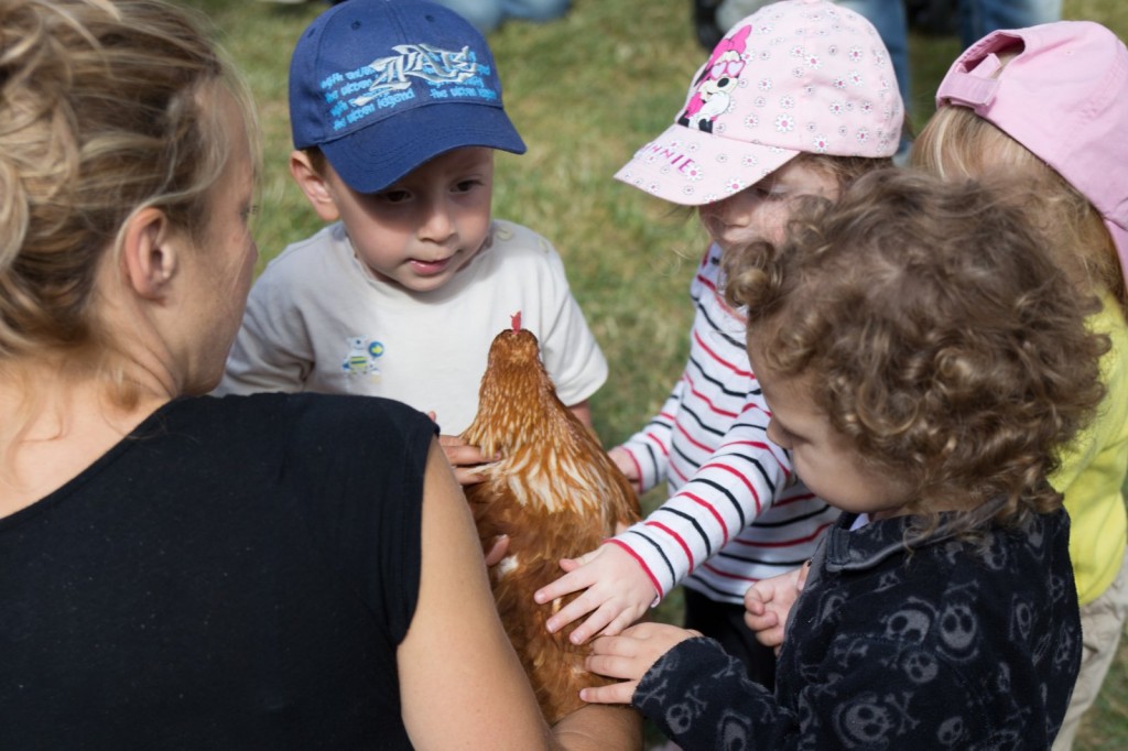 Les enfants pouvaient caresser une poule.