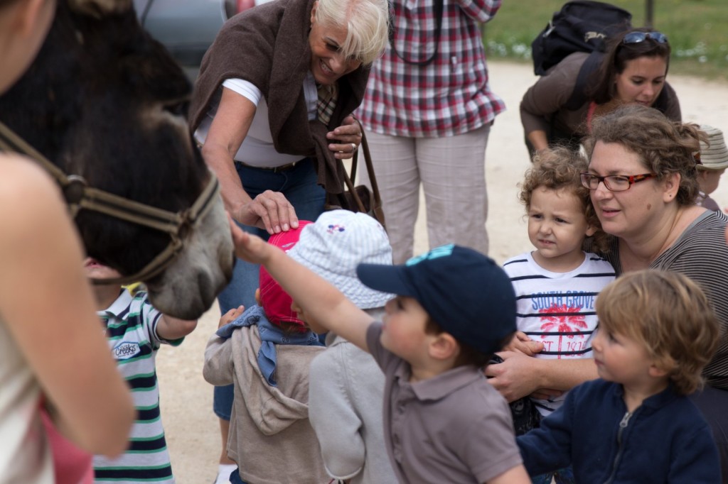 Les enfants découvrent l'âne.