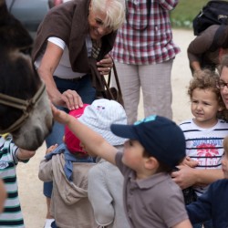 Les enfants découvrent l'âne.