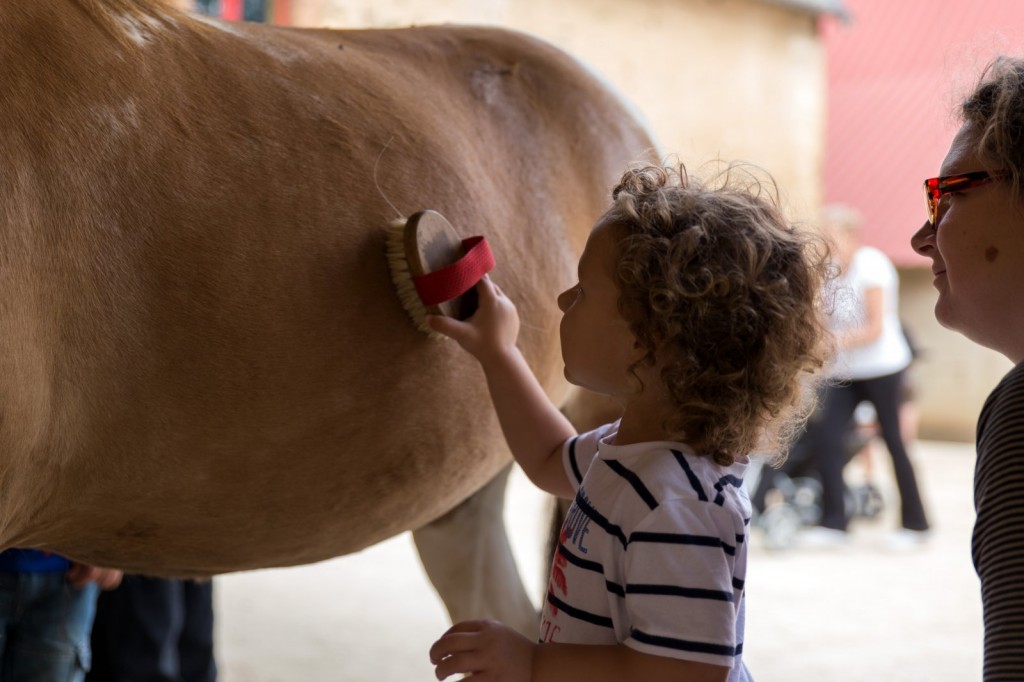 Les enfants devaient brosser les poneys avant de pouvoir monter dessus.