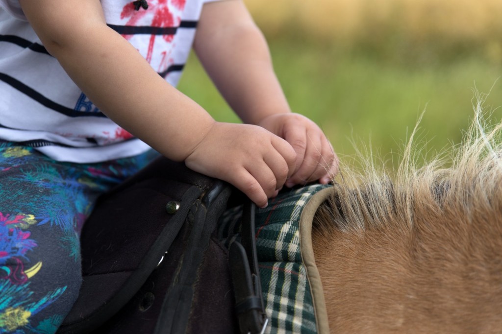 Elle se tient à la selle comme Cécile de la ferme lui a montré.