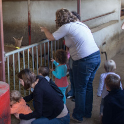 Les enfants sont fascinés par les chèvres. Ce que la photo ne dit pas : ça pue!