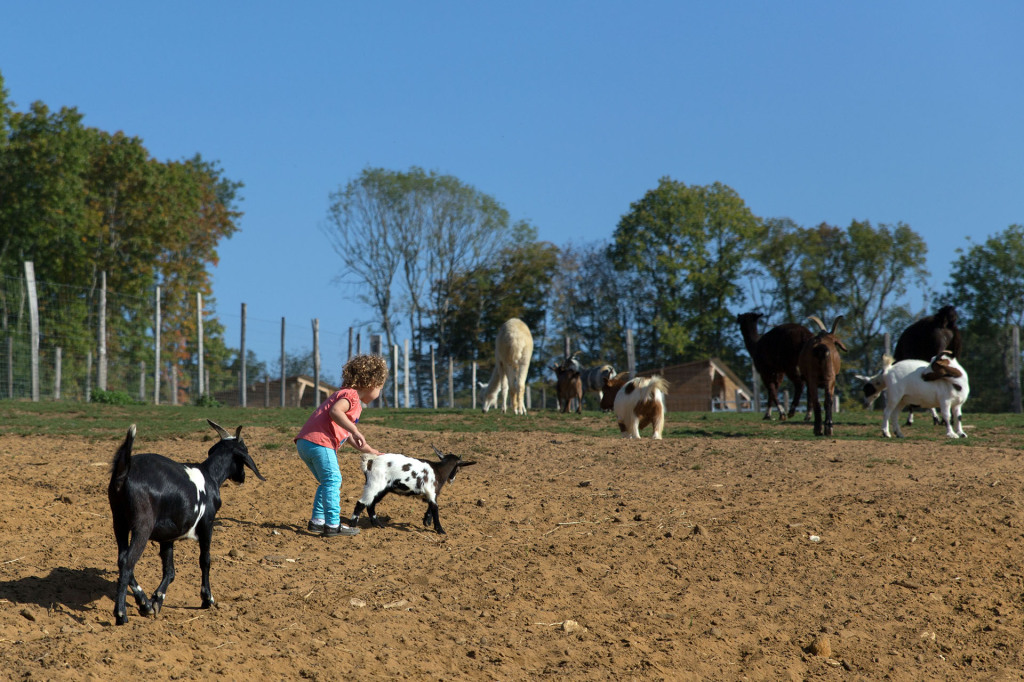 Andrea est partie jouer avec les animaux