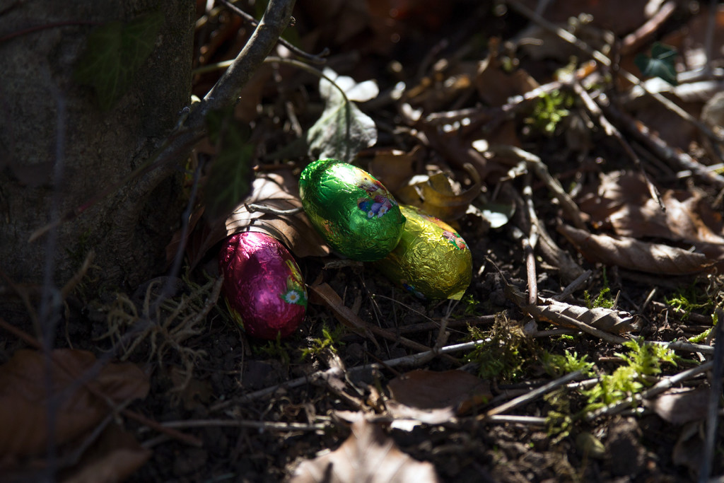 Trois oeufs en chocolat Lindt qui attendent sagement.