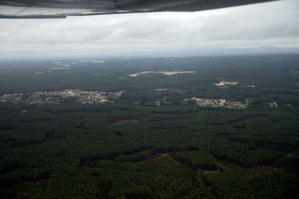 La région est comme ça : une immense forêt, avec quelques clairières où se trouvent les villages.