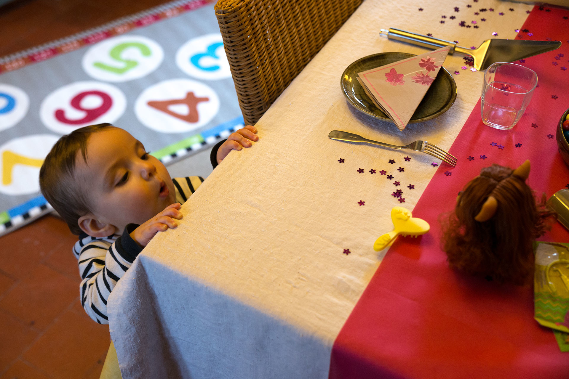 Derrière le petit curieux, on aperçoit le fameux tapis.